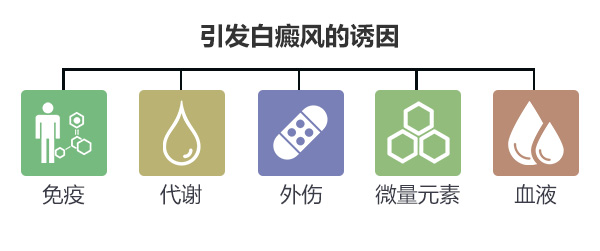 白癜风发病的原因